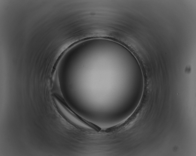 X0000096711081200802121220