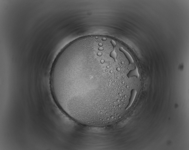 X0000096711086200802121220