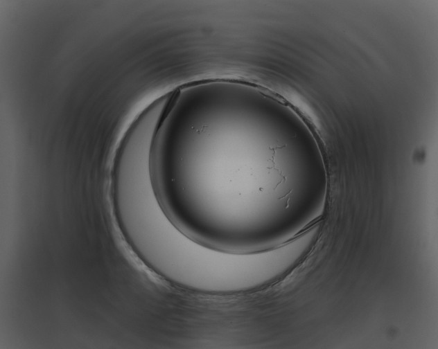 X0000096711088200802121220