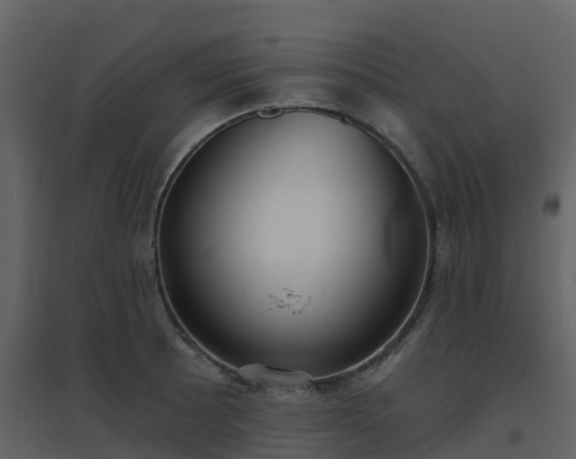 X0000096711089200802121220