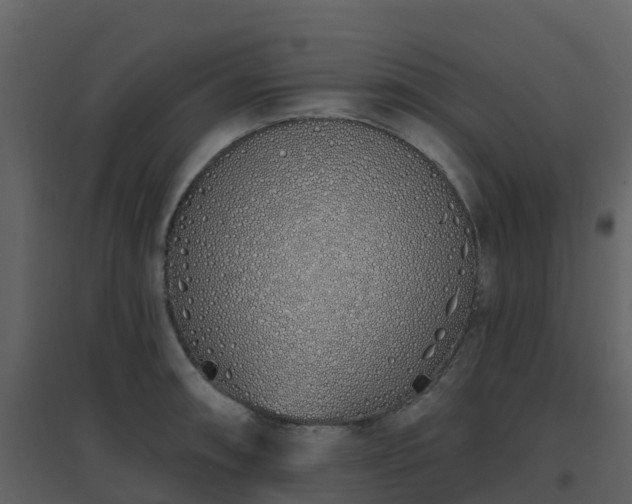 X0000096711090200802121220