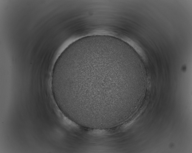 X0000096711094200802121219