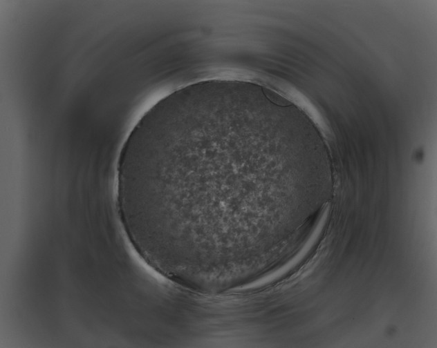 X0000096711095200802121219