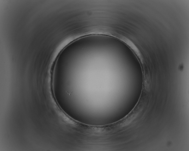 X0000096711096200802121219