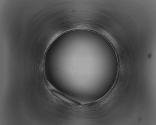 X0000096711097200802121219