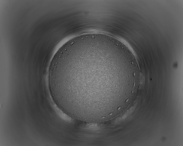 X0000096711098200802121219