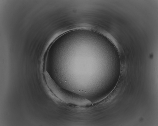 X0000096711099200802121219