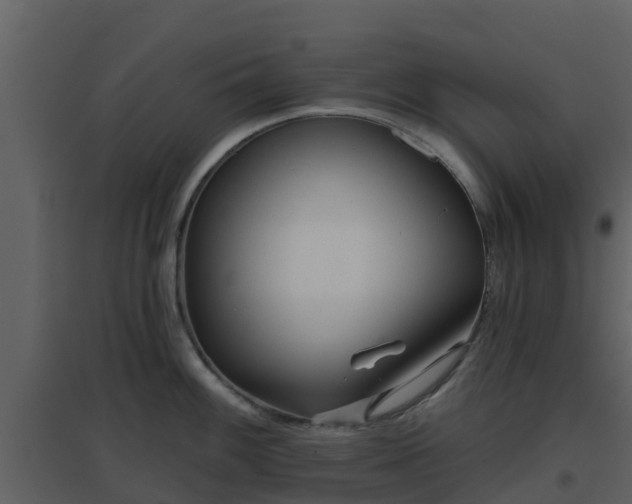 X0000096711100200802121219