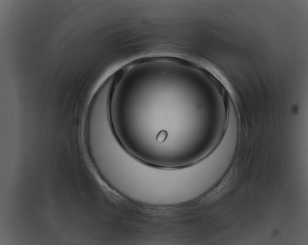 X0000096711101200802121219