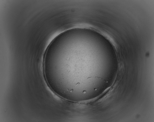 X0000096711103200802121219