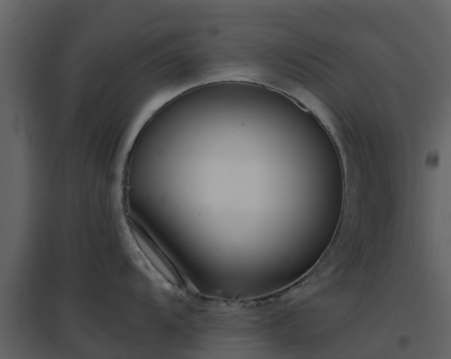 X0000096711104200802121219