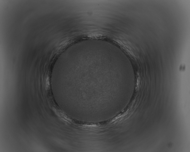 X0000096711106200802121219