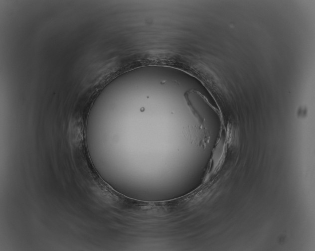 X0000096711107200802121219