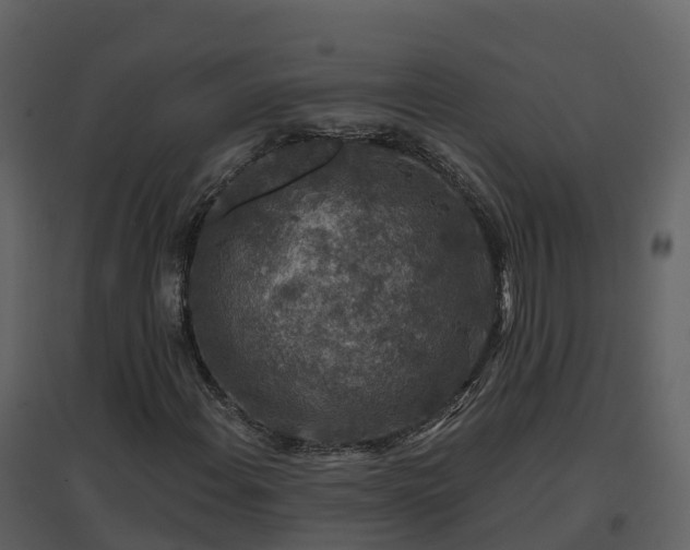 X0000096711108200802121219