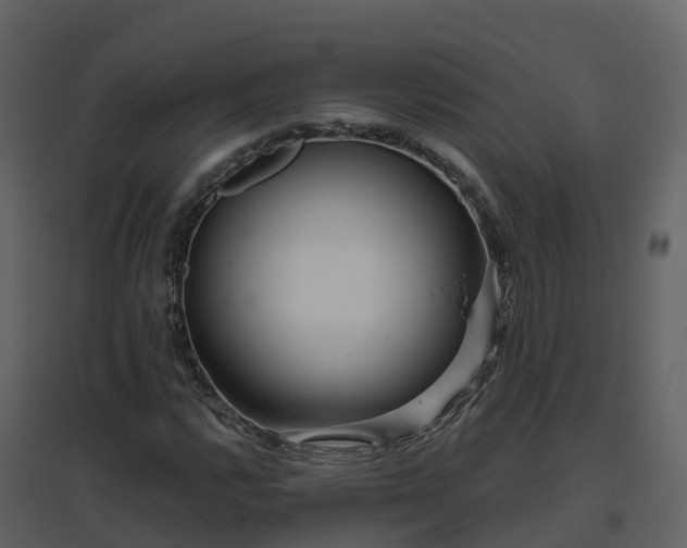 X0000096711112200802121219