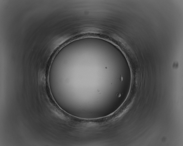 X0000096711113200802121219