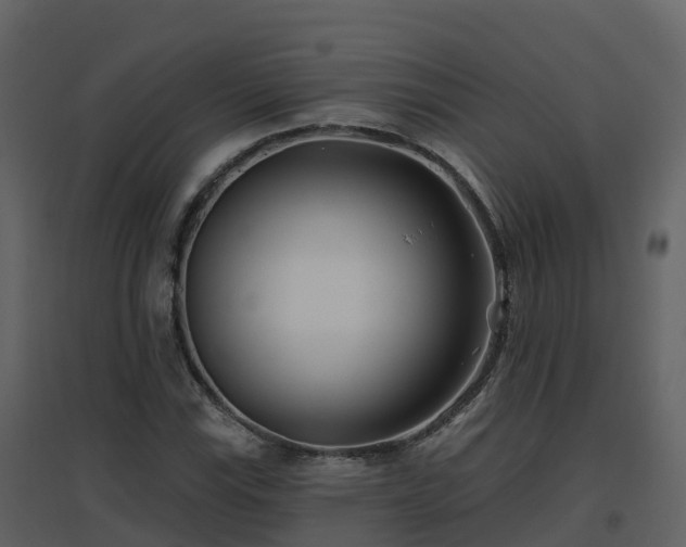 X0000096711115200802121219