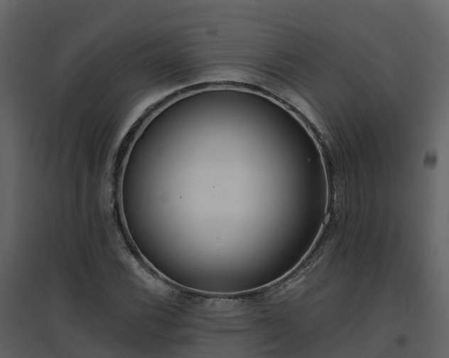 X0000096711116200802121219