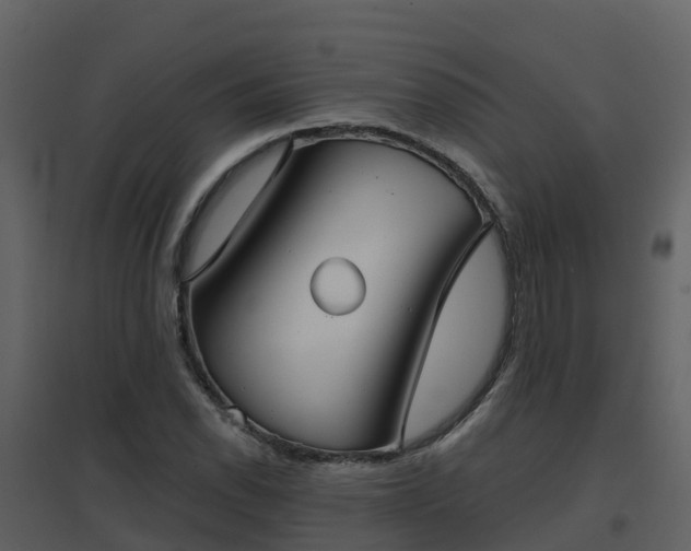 X0000096711118200802121219