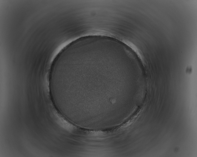 X0000096711120200802121219