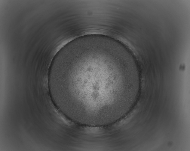 X0000096711121200802121219