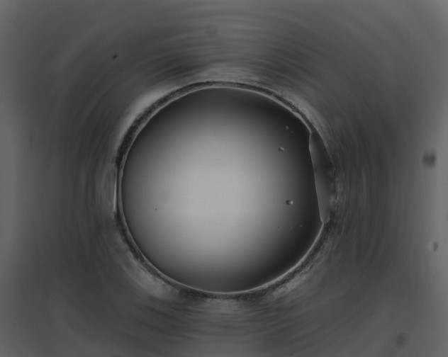 X0000096711123200802121219