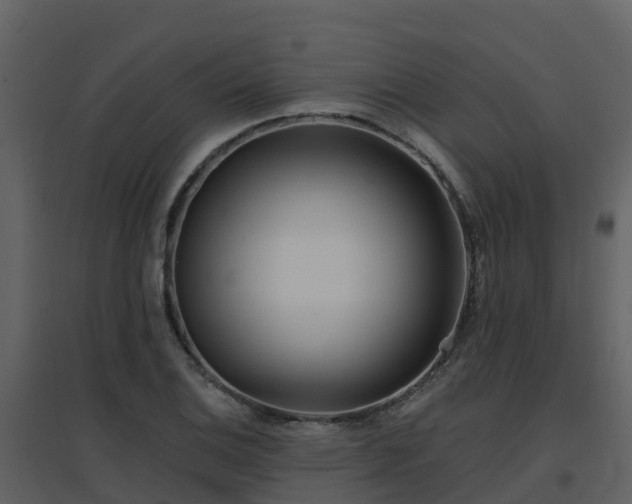 X0000096711124200802121219