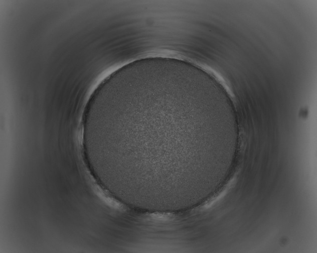 X0000096711125200802121219