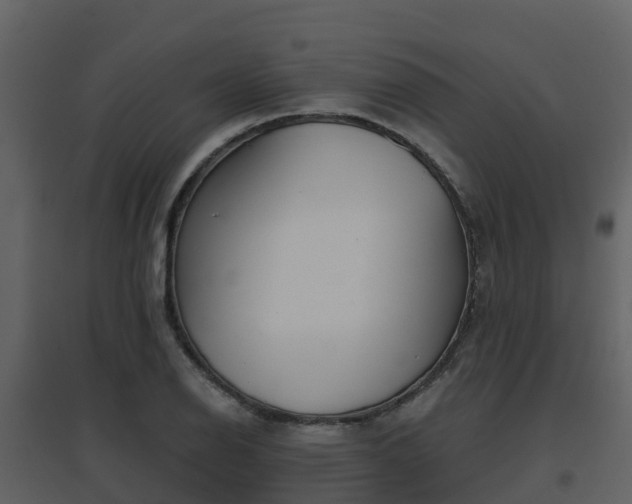 X0000096711126200802121219