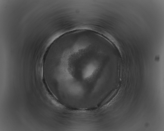 X0000096711127200802121219