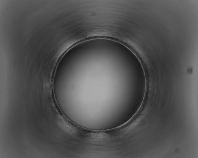 X0000096711129200802121219