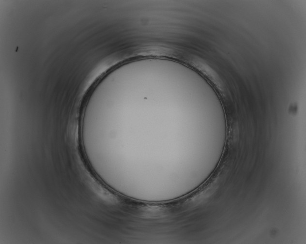 X0000096711130200802121219