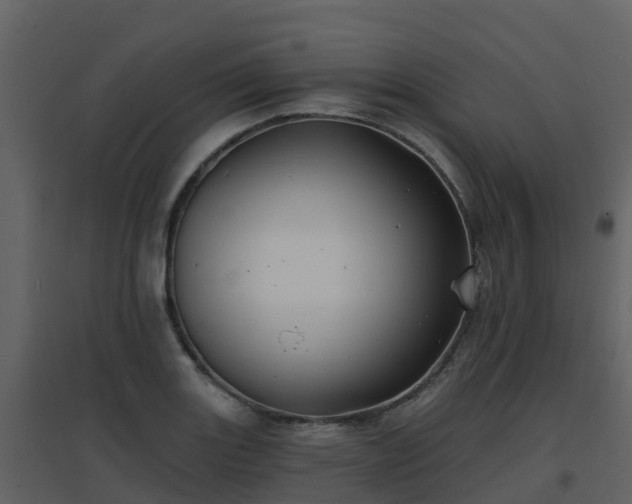 X0000096711131200802121219