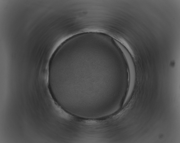 X0000096711132200802121219