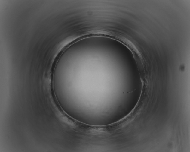 X0000096711133200802121219