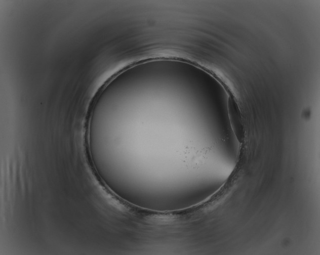 X0000096711134200802121219