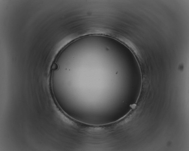 X0000096711135200802121219