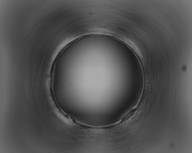 X0000096711136200802121219