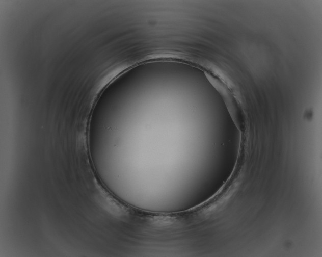 X0000096711137200802121219