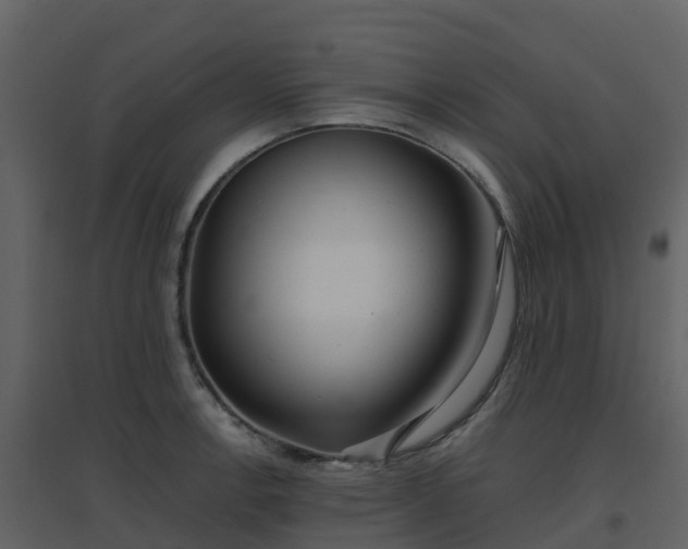 X0000096711138200802121219