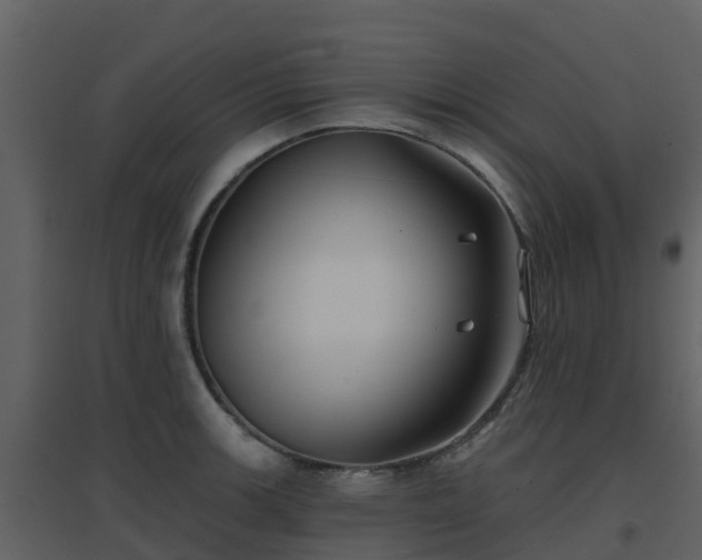 X0000096711139200802121219