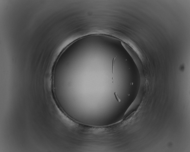 X0000096711143200802121219