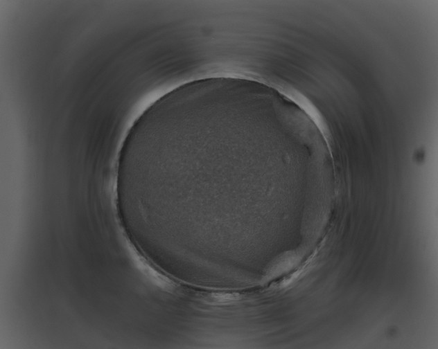 X0000096711144200802121219