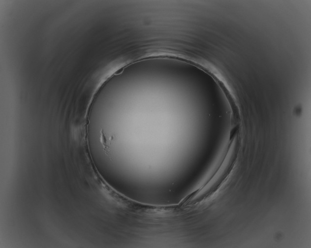 X0000096711145200802121219