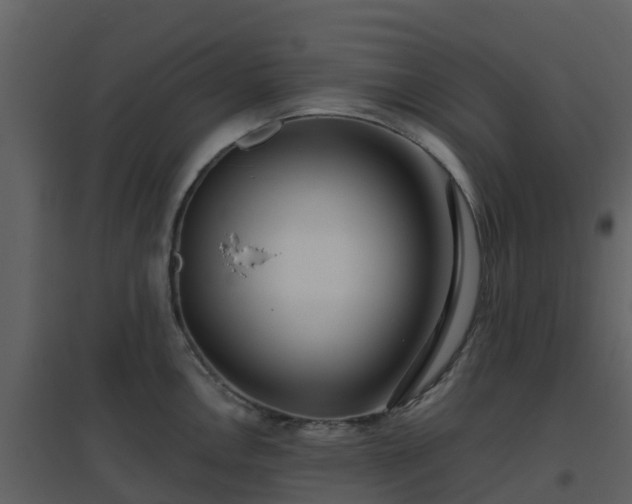 X0000096711146200802121219