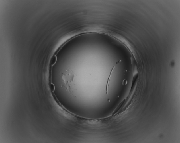 X0000096711147200802121219