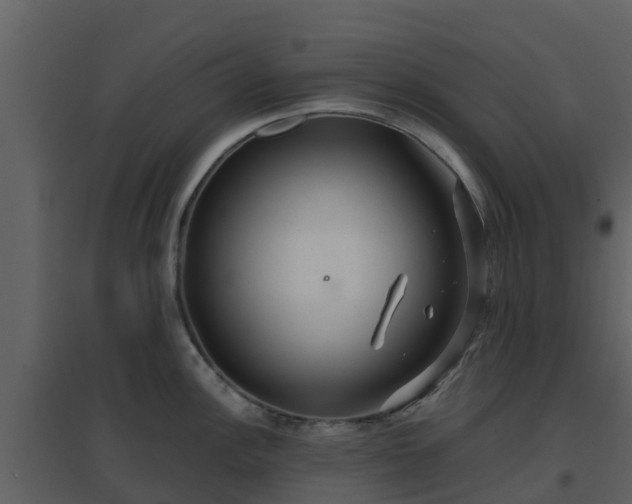 X0000096711148200802121219