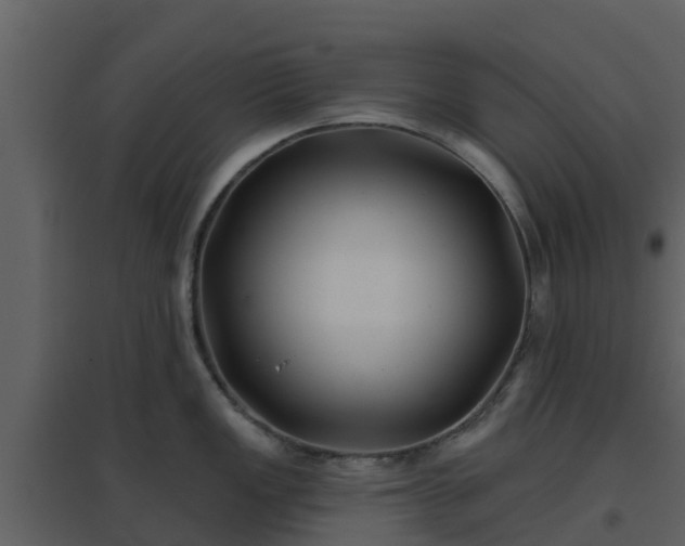 X0000096711149200802121219