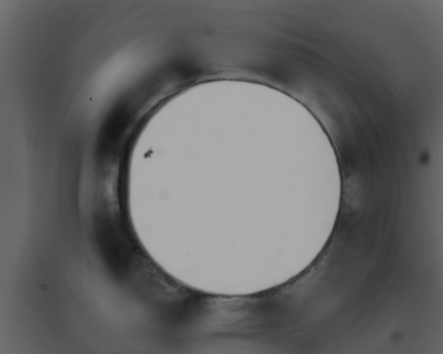 X0000096711150200802121219