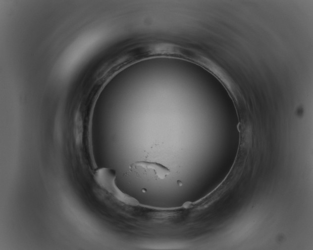 X0000096711151200802121219